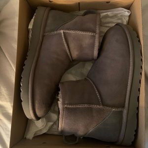 gray ugg mini